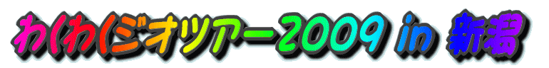 킭킭WIcA[2009 in V